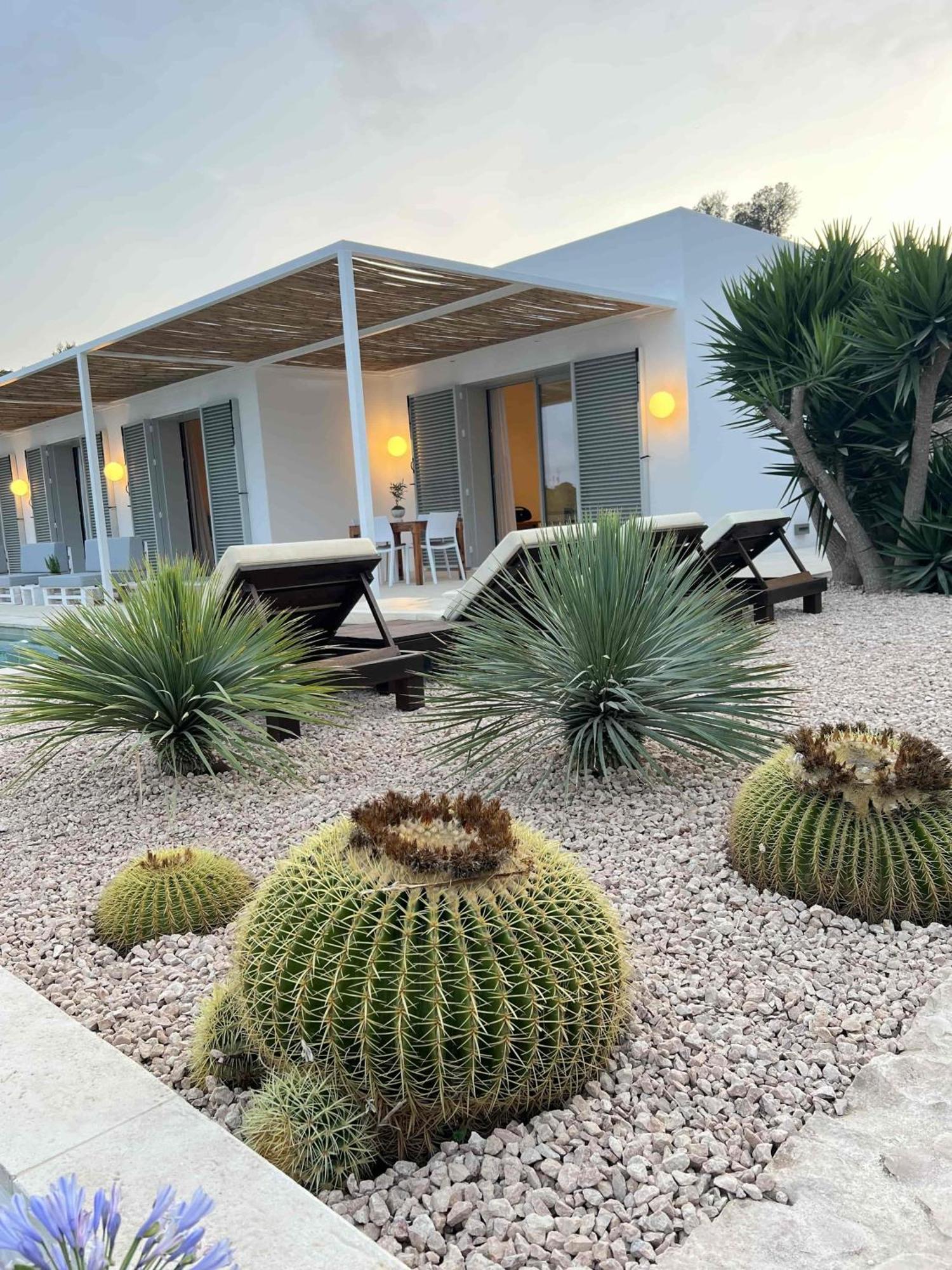 Can Corda Formentera Cala Saona Dış mekan fotoğraf